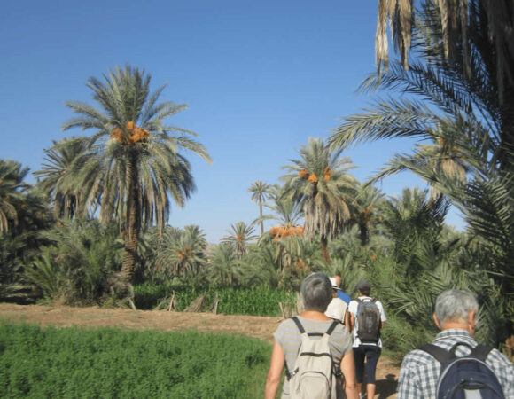Tiout - Taroudant